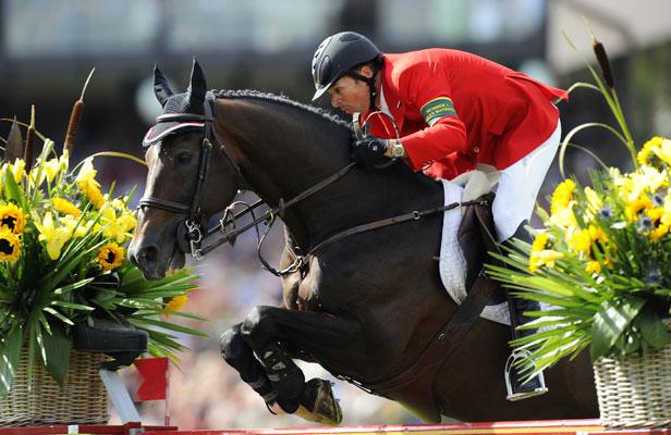 Tapis De Drap Rambo 6'6 Pour Cheval – Modèle Hickstead Winners Show Occasion